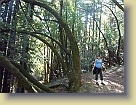 Hiking-Woodside-Oct2011 (11) * 3648 x 2736 * (5.39MB)